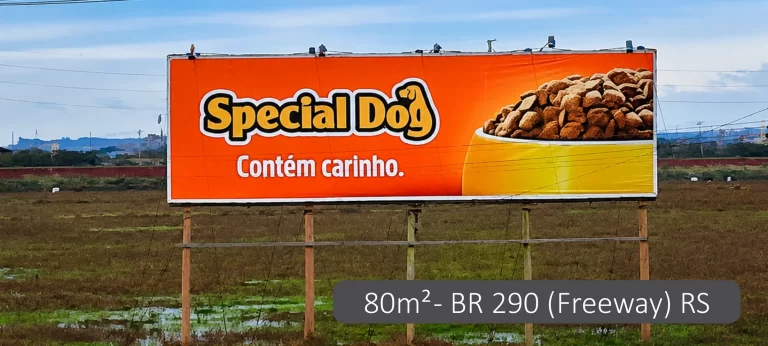 Portfólio 21 copiar
